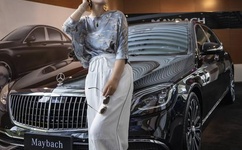 精灵之传奇训练家